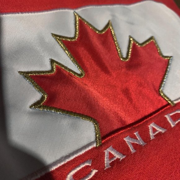 NIKE Canada Embroidered Center Swoosh Pullover Hoodie - Picture 4 of 4